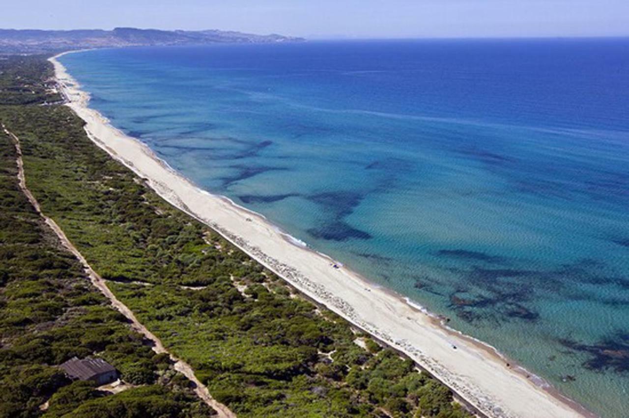Appartamenti Mareblu Badesi Dış mekan fotoğraf